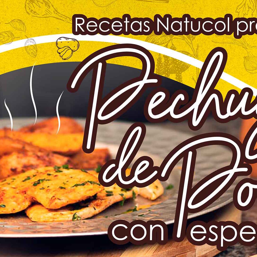 Recetas de pollo