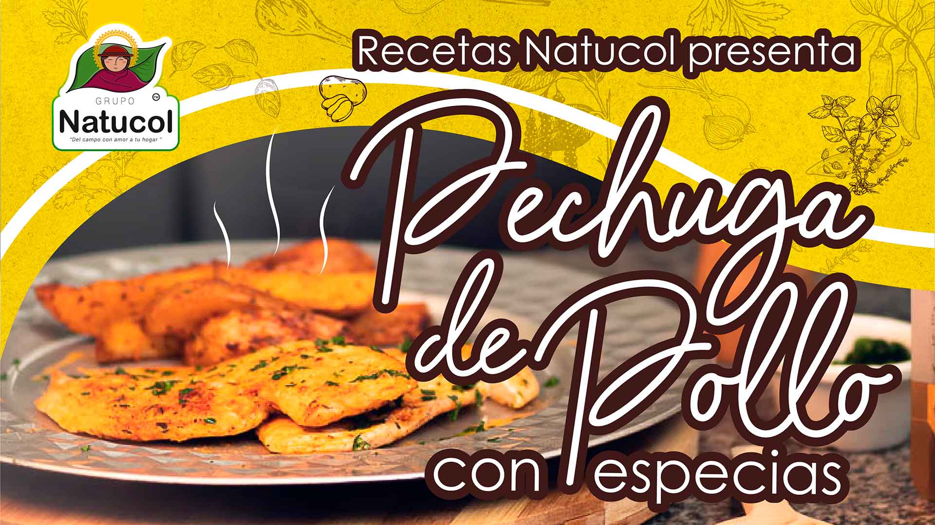 Recetas - Natucol - Variedad de Recetas para que Prepares en Casa